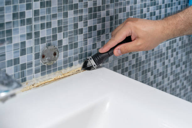 Trusted Upper Fruitland, NM Mold Removal Experts